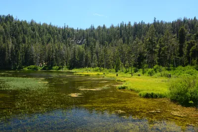 DSC_0035 (Large).JPG